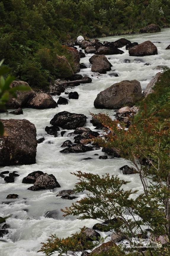 Um dos muitos riachos no Parque Nacional Queulat, na Carretera Austral, no sul do Chile